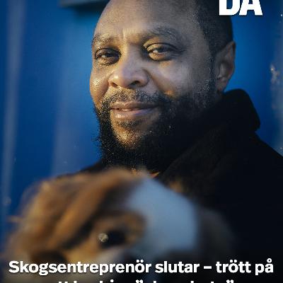 Skogsentreprenör slutar – trött på att bedriva ”slavarbete”