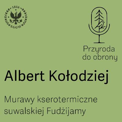 Murawy kserotermiczne suwalskiej Fudżijamy