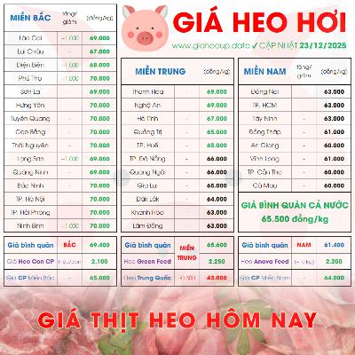 GIÁ HEO HƠI 23/12/2025 ✅ GIÁ THỊT LỢN & TIN TỨC CHĂN NUÔI #GIAHEOHOI #GIATHITHEO #GIAHEOUPDATE
