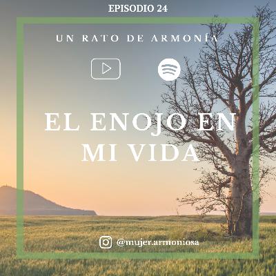 EL ENOJO EN MI VIDA