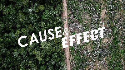 Pastor Ken Dutton - Cause & Effect - February 23, 2020
