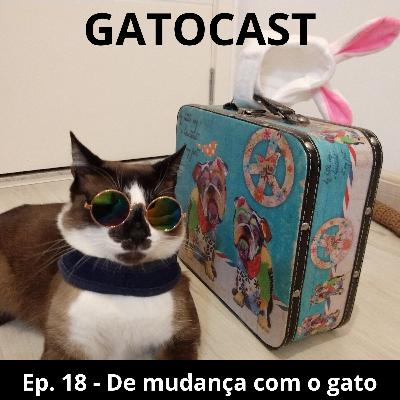 Ep. 18 - De mudança com o gato