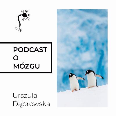 #050 Przyjaźń na Zdrowie