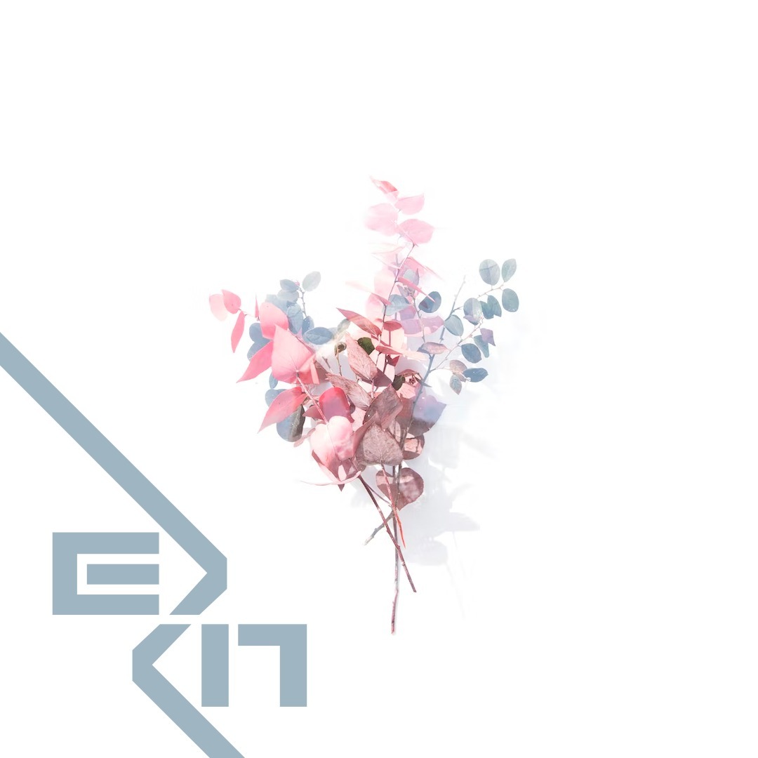 Eva - Paula Marchioro Cumim episode artwork