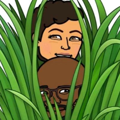 Episode 6 | Cannabis: In The Weeds