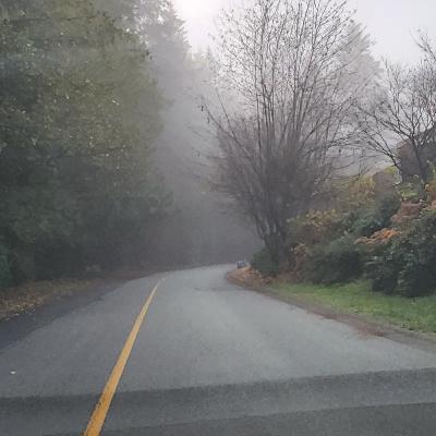 قدم بعدی برای رسیدن به آرامش واقعی درونی