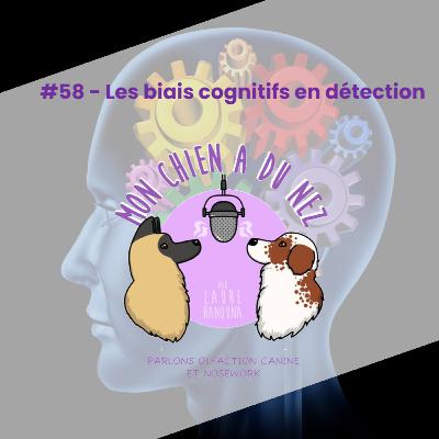 #58 - Les biais cognitifs en détection