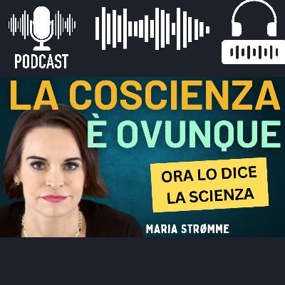 L'universo è cosciente? Un nuovo studio scientifico cambia tutto L'universo è cosciente? Un nuovo studio scientifico cambia tutto