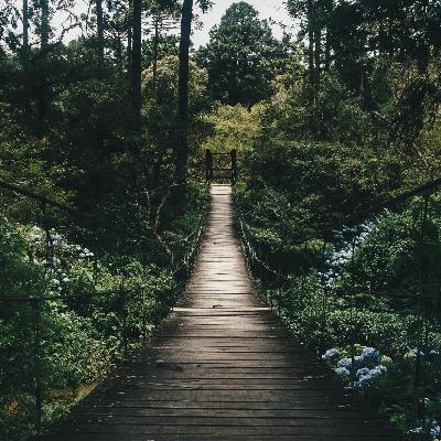 Breathe Through Anxiety: 15-Min Nervous System Reset