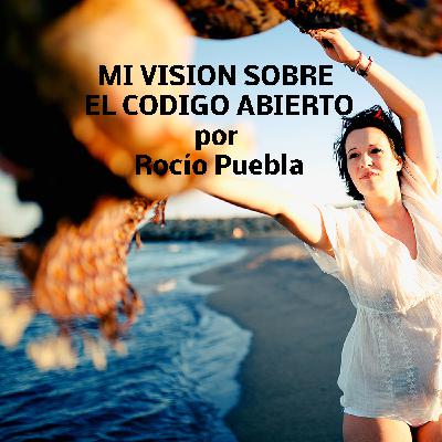 Mi visión sobre el código abierto