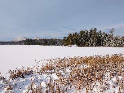 Ep 118: Conservation in the Adirondack Park - A Convo with Drs. Heidi Kretser & Michale Glennon Ep 118: Conservation in the Adirondack Park - A Convo with Drs. Heidi Kretser & Michale Glennon