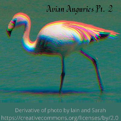 Celebrating Sacred Animals: Avian Auguries (AKA Birbs) Pt. 2