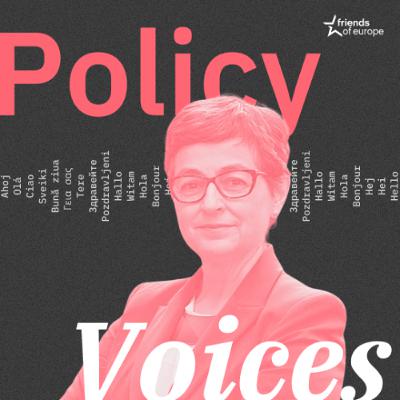 Policy Voices | 75 years later, is it time to revisit the Schuman Declaration? Policy Voices | 75 years later, is it time to revisit the Schuman Declaration?