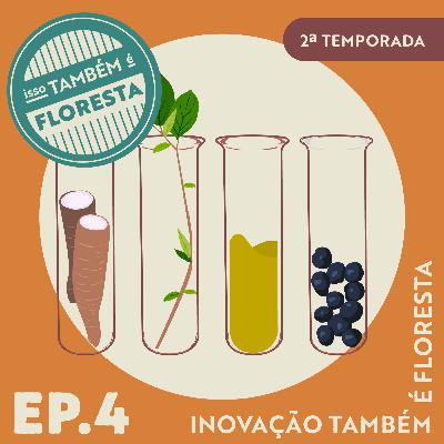 Inovação também é floresta