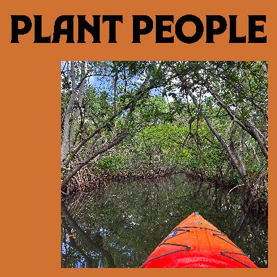 Mangroves: Earth's Coastal Caretakers