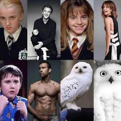 Harry Potter Meme