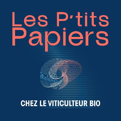 Chez le viticulteur bio Chez le viticulteur bio