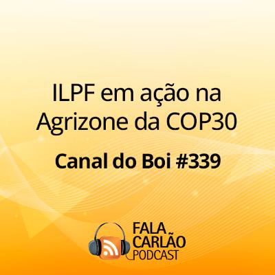 ILPF em ação na Agrizone da COP30 | Canal do Boi #339