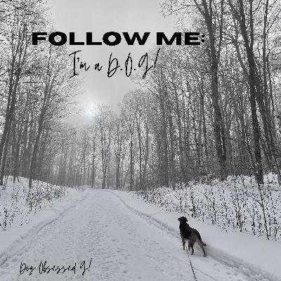 31: Summer Series Episode 2 - The Adventures of Audrey, Daisy, and Oscar 31: Summer Series Episode 2 - The Adventures of Audrey, Daisy, and Oscar