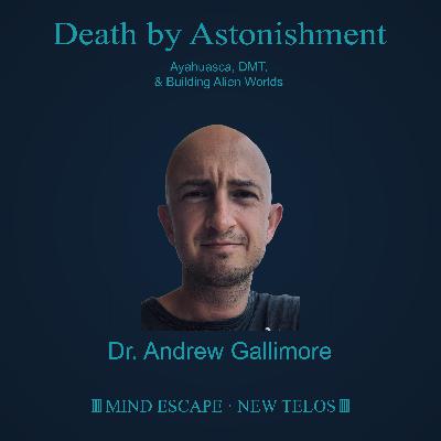 Andrew Gallimore on Death by Astonishment | Ayahuasca, DMT, & Building Alien Worlds Episode #330