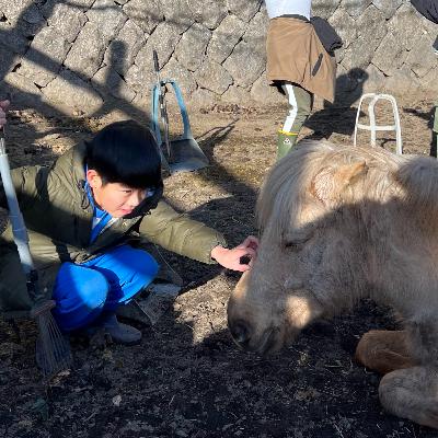 089 その人の社会観、教育観が浮き彫りになる映画「小学校〜それは小さな社会〜」〜協調性と同調圧力、その狭間で揺れる子どもたちの姿​