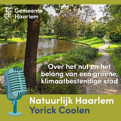 3. Het Spaarne vanaf Molen de Adriaan