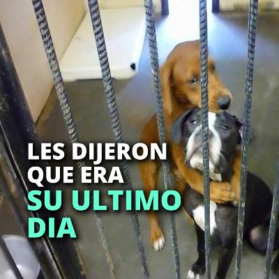 Les dijeron que era su último día, se abrazaron y esperaron su final