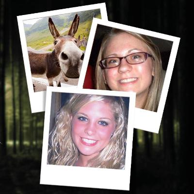 Three Tales of Terror: The Mule Kick, Murder of Jessica Chambers, and Holly Bobo's Tragic Fate