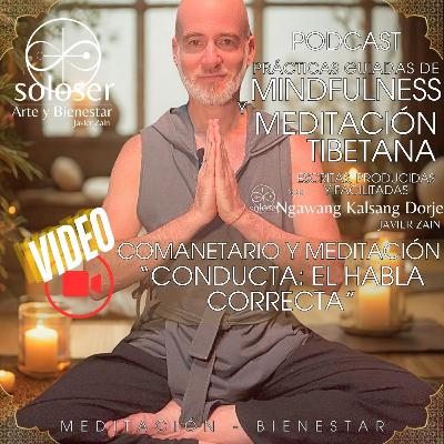 Comentario y Meditaciรณn: "Conducta - El habla correcta" Comentario y Meditaciรณn: "Conducta - El habla correcta"