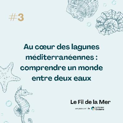 #3 Au cœur des lagunes méditerranéennes : comprendre un monde entre deux eaux #3 Au cœur des lagunes méditerranéennes : comprendre un monde entre deux eaux
