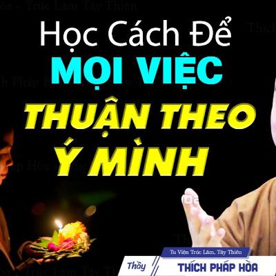 Cách để mọi việc thuận theo ý mình - Thầy Thích Pháp Hòa