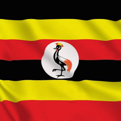 Entrevistando imigrantes - Uganda // T.P Mundo #73