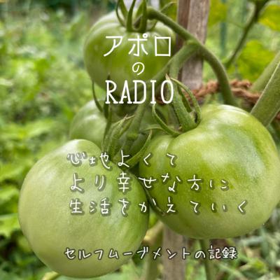 no.61山の朝