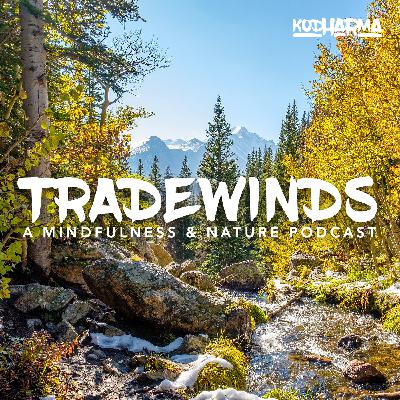 Ep. 1: How Kodharma Started