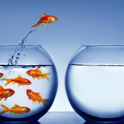 Lidar com as Mudanças