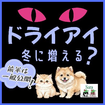 #1037. 冬に要注意❗目の充血は乾燥のサイン&アレルギーも❓（質問に回答）