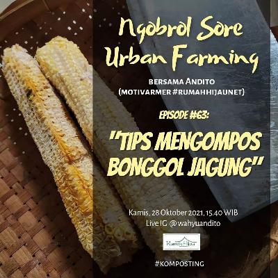 Tips Mengompos Bonggol Jagung 🌱 (Ngobrol Sore Urban Farming eps. #63)