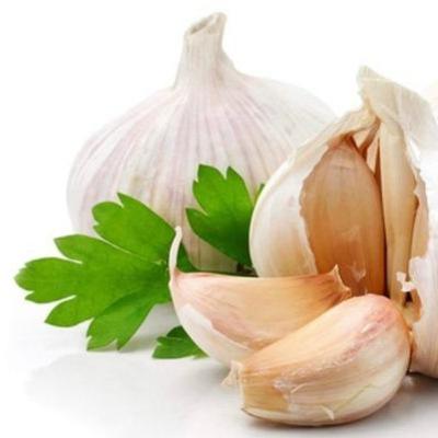 Bawang PUTIH. Pestisida alami untuk tanaman hias kamu lhooo Bawang PUTIH. Pestisida alami untuk tanaman hias kamu lhooo