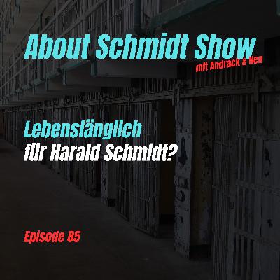 Lebenslänglich für Harald Schmidt?