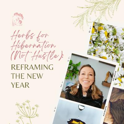Herbs for Hibernation (Not Hustle): Reframing the New Year