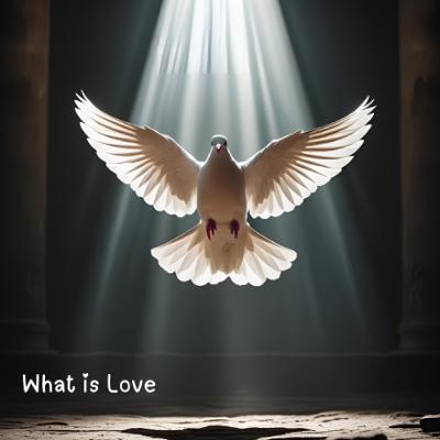 What is Love