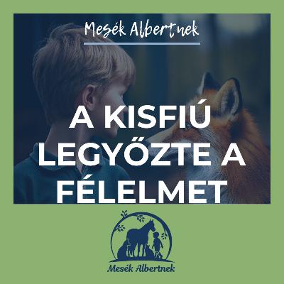 A kisfiú legyőzte a félelmet A kisfiú legyőzte a félelmet