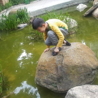 饮水排毒在什么时候最好 饮水排毒在什么时候最好