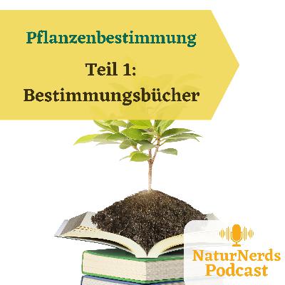 Pflanzenbestimmung - wie bestimmt man Pflanzen? Teil I: Bestimmungsbücher