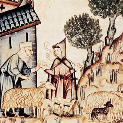 Trashumancia, ornitorrincos y calzoncillos reversibles Trashumancia, ornitorrincos y calzoncillos reversibles