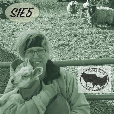 s1e5 - cross wind farm