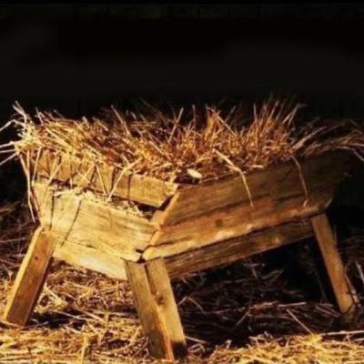 Jesus is Born, Now What?