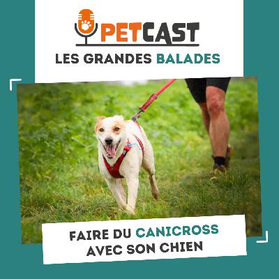Faire du canicross avec son chien