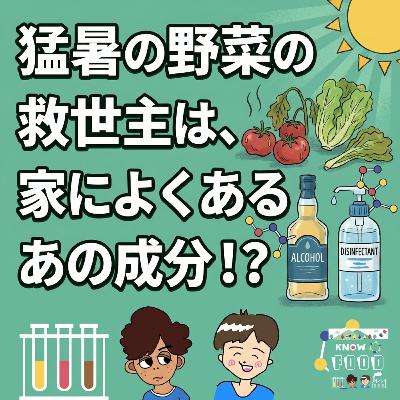 #47.猛暑で食糧危機?野菜を守るのはアルコールだった #47.猛暑で食糧危機?野菜を守るのはアルコールだった