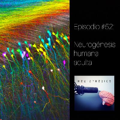 #52: Neurogénesis humana adulta (con Jon Arellano) #52: Neurogénesis humana adulta (con Jon Arellano)